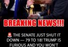 Senate GOP Leaders Succeed In Protecting Trump Tariffs